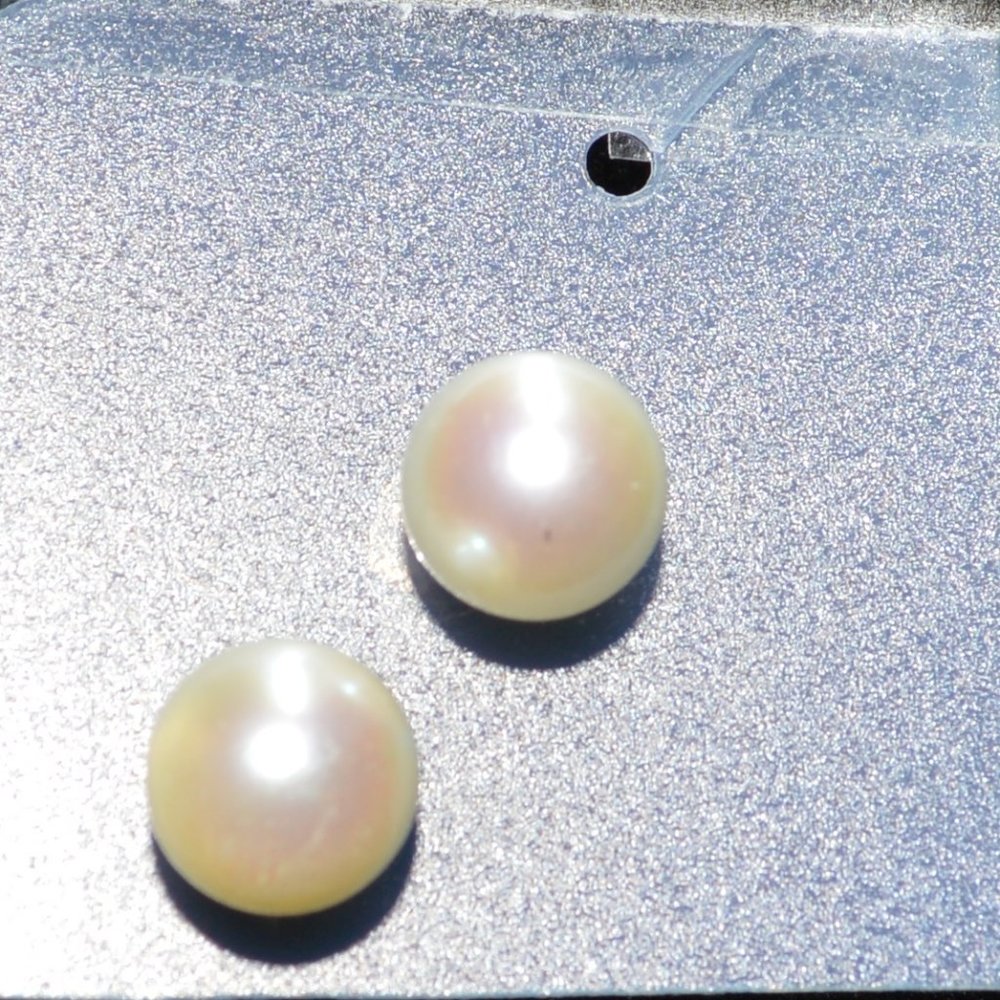 White Pearl Earring Studs